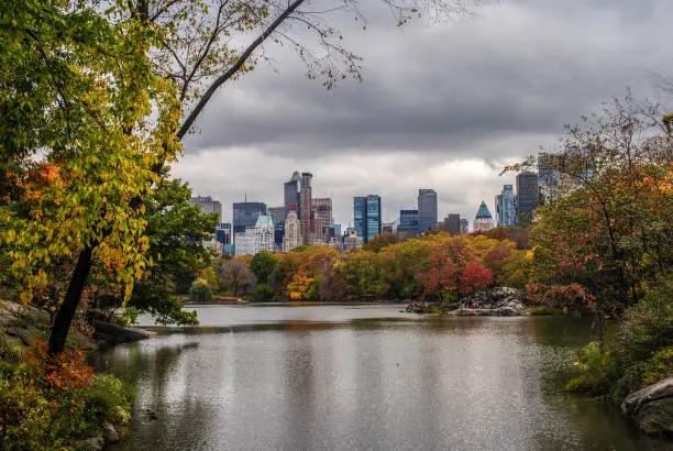 A fall scene of New York skyscrappers from the lake.