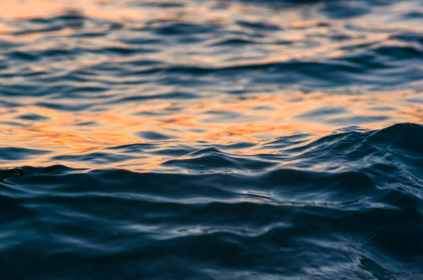 istock Amazing sea sunset, the sun, waves, clouds 1146125962