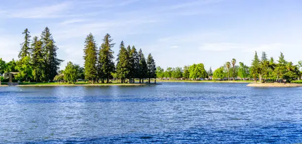 Photo of Large redwood trees on the shoreline of Lake Ellis, Marysville, Yuba County, California