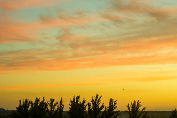 istock Landscape with dramatic light - beautiful golden sunset with saturated sky and clouds. 1146126168
