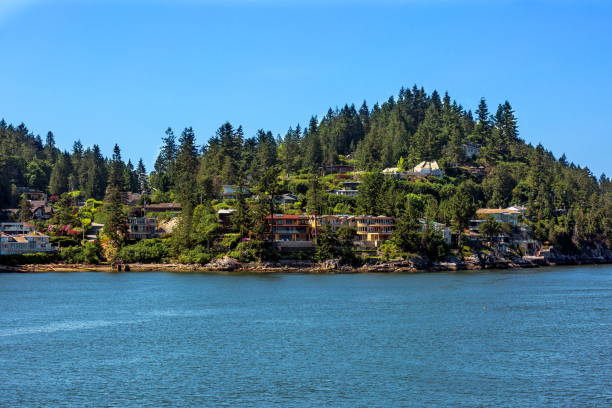 istock The village on a forested  slope 1146126666