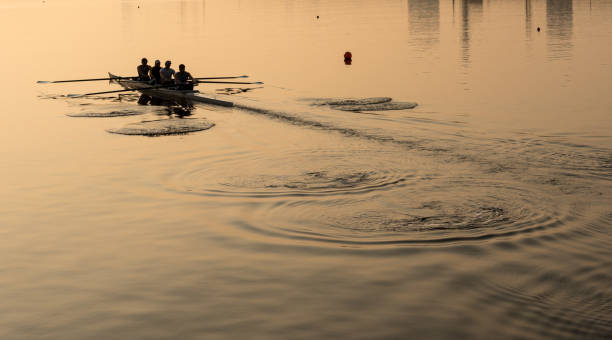 Team of four rowers practice in racing canoe Sunrise lights up team of four rowers in canoe practicing in London Docklands rowing stock pictures, royalty-free photos & images