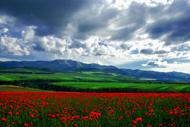 istock summer landscape in mountains,Armenia. 1146128741