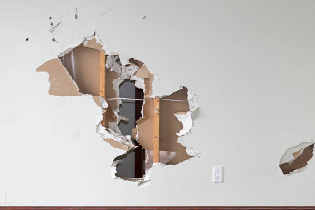 istock Holes in Drywall 1146129365