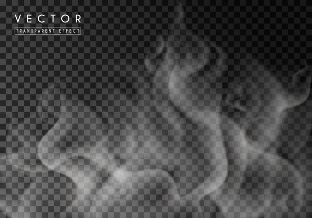 ilustrações de stock, clip art, desenhos animados e ícones de transparent special effect of hot steam or smoke. vector gas, fog isolated on dark background - fire backgrounds heat vector