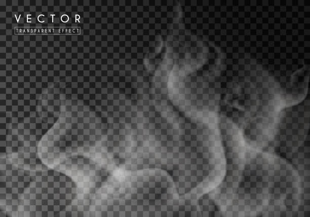 Transparent special effect of hot steam or smoke. Vector gas, fog isolated on dark background Transparent special effect of hot steam or smoke. Vector gas, fog isolated on dark background. Realistic wavy elements smoke physical structure stock illustrations