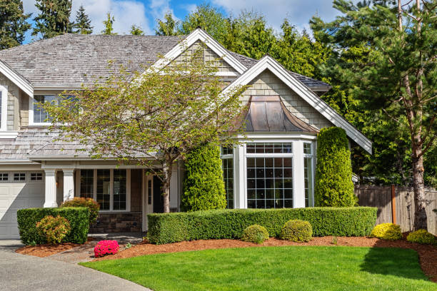 istock Modern Suburban House Exterior 1146132292