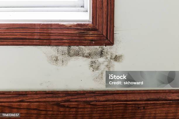 Black Mold Under Window Stock Photo - Download Image Now - Fungal Mold, Moulding - Trim, Home Interior