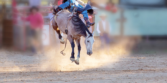 Cowboy ridding a bucking bull at a local rodeo event in Utah.