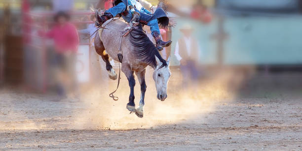 bucking horse - rodeo cowboy motion horse imagens e fotografias de stock