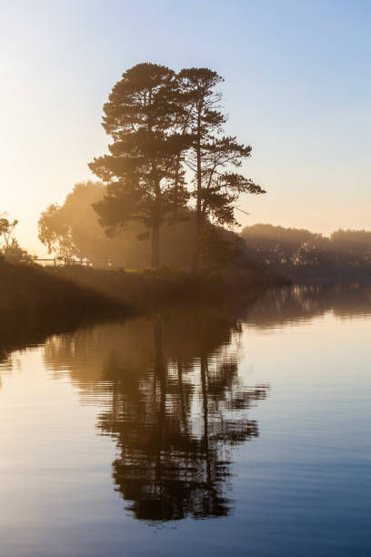 istock Tall trees reflecting in calm river water at sunrise haze 1146135621