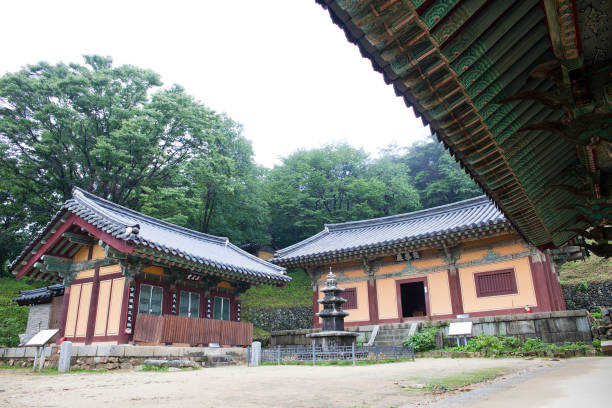istock Bongjeongsa Temple 1146135776