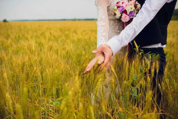 istock couple bride and groom on field background. 1146136488