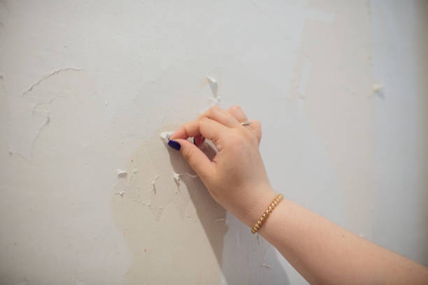istock Female construction worker removing wallpaper during flat renovation works. 1146136626