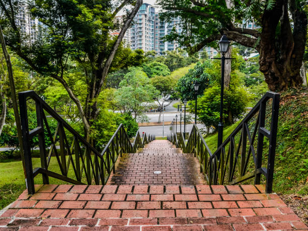 istock Red Brick stairs leading to the forest 1146141098