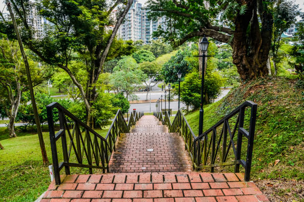 istock Red Brick stairs leading to the forest 1146141101
