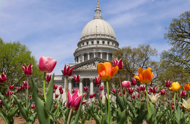 ウィスコンシン州議事堂 - wisconsin state capitol ストックフォトと画像