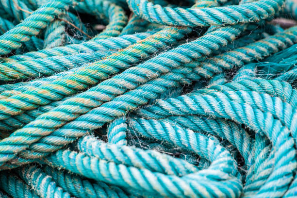 istock Thick mooring rope in a pile closeup 1146143535