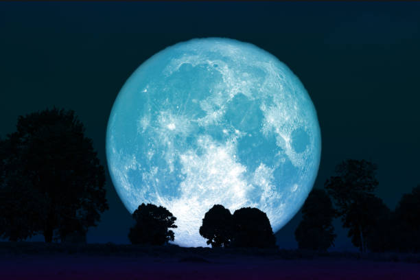 istock full flower moon back on silhouette plant and trees on night sky 1146144674