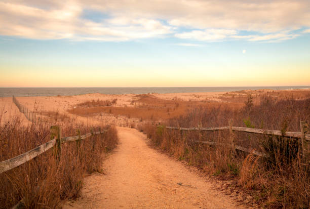 istock Cape May NJ meadows at sunrise in early spring 1146145105