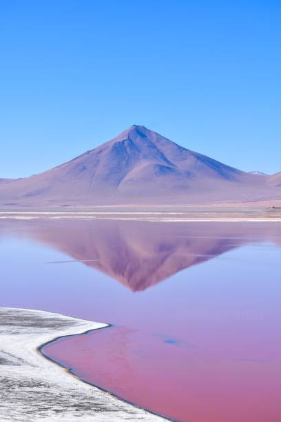 bergspiegelung am rosa see - laguna colorada stock-fotos und bilder