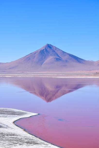 Mountain reflection on pink lake stock photo