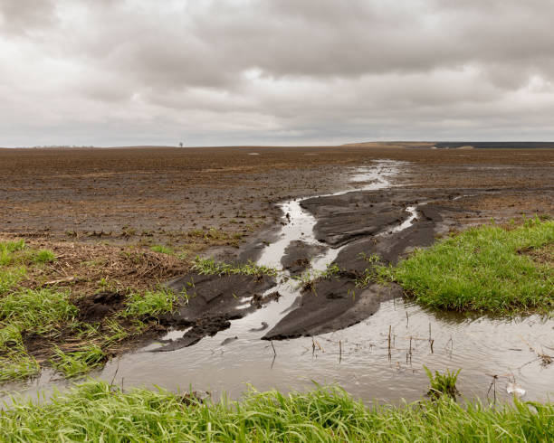 chuvas de molas pesadas causando problemas de inundação para os agricultores - storm corn rain field - fotografias e filmes do acervo