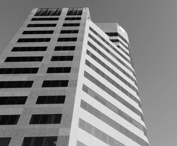 Tall buildings in Southern California with a soft focus feeling