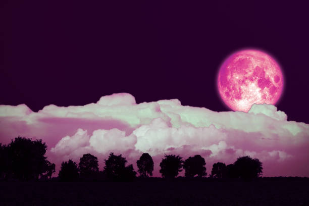 istock Full Strawberry Moon back silhouette trees in the field 1146148362