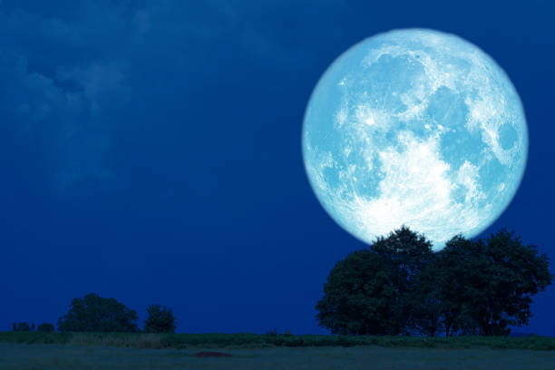istock Full Buck Moon back silhouette trees in the field 1146148527