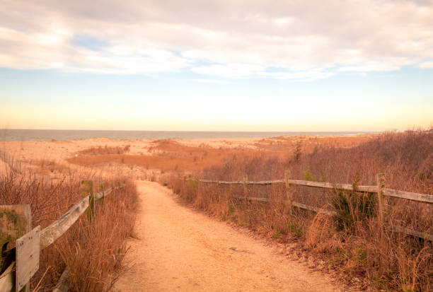 istock Cape May NJ meadows at sunrise in early spring 1146149433