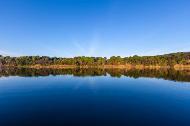istock Trees reflecting in calm river water under vivid blue sky with copy space 1146154242