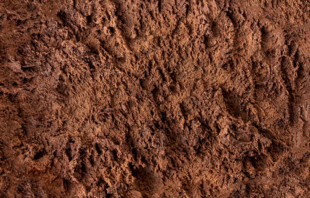 Ice-cream Pattern.  Delicious Chocolate  ice cream as background.