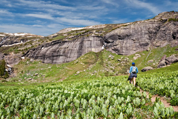 wandern in das becken der oberen eisseen - continental divide trail stock-fotos und bilder