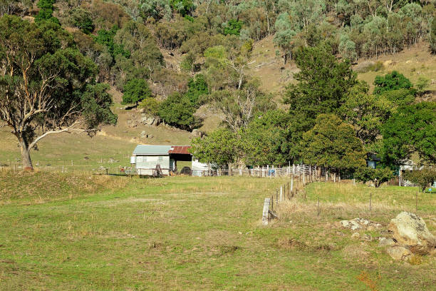 istock Old Country Shed 1146168597