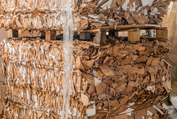 istock Pile of pressed corrugated cardboards ready for recycling 1146178546