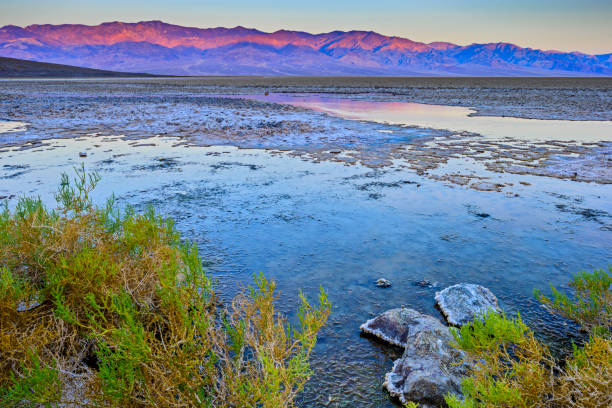 istock Death Valley California 1146181125