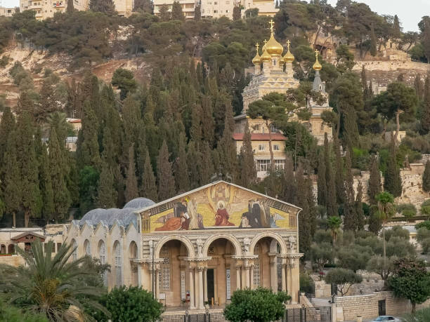 églises de marie-madeleine et toutes les nations à jérusalem - garden of gethsemane photos et images de collection