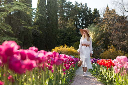 A girl in a white dress and hat walking in the middle of a field of beautiful multi-colored tulips. Springtime.