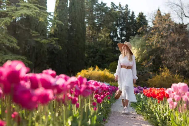 Photo of A girl in a white dress and hat walking in the middle of a field of beautiful multi-colored tulips.