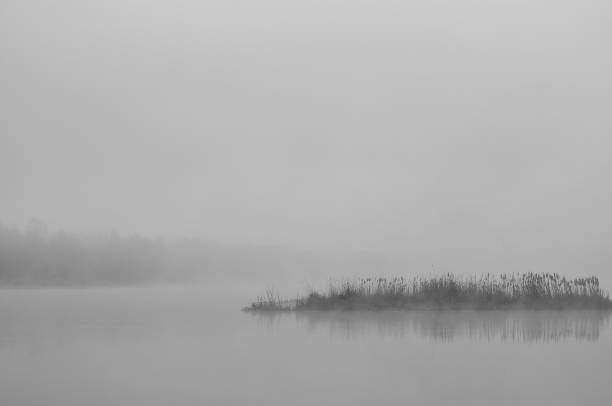 istock Misty morning on the lake. 1146191689