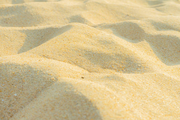 istock Fine beach sand, sand dunes, in the summer sun 1146191837