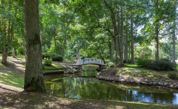 istock Palanga Botanical Park pond in summer midday 1146194897