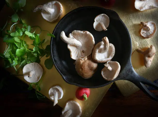 Photo of Shiitake Mushrooms