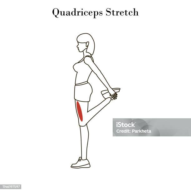 Quadriceps Stretch Exercise Outline Stock Illustration - Download Image Now - Quadriceps Muscle, Stretching, Activity