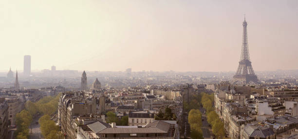istock Paris, Eiffel tower, Aerial view, France, Europe 1146199018