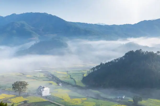 Photo of beautiful spring scenery in wuyuan