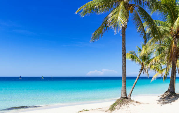 Cuban dream beach with palms in Varadero - Serie Cuba Reportage stock photo