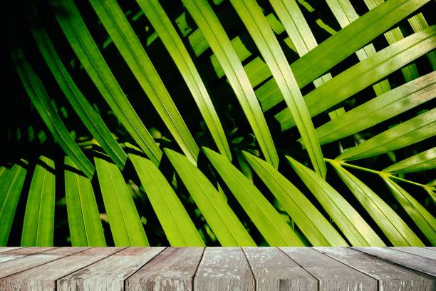 istock Empty Wooden Table with Green Leaves in The Park Background. 1146203884