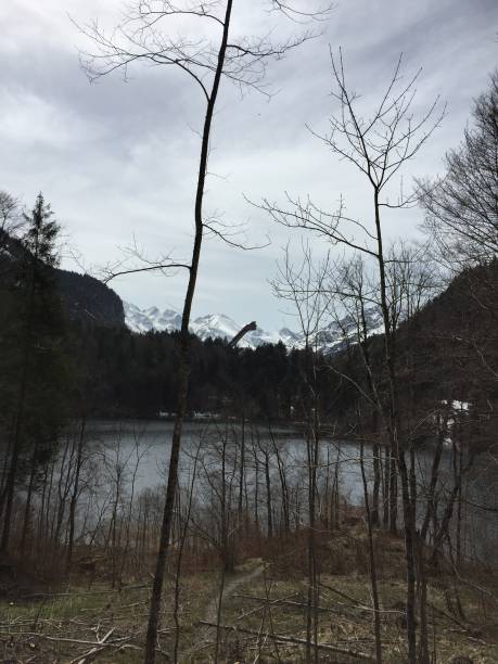 istock Freibergsee near Oberstdorf on a cloudy spring day 1146206255